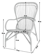 60 Wyatt Rattan Chair - Blue