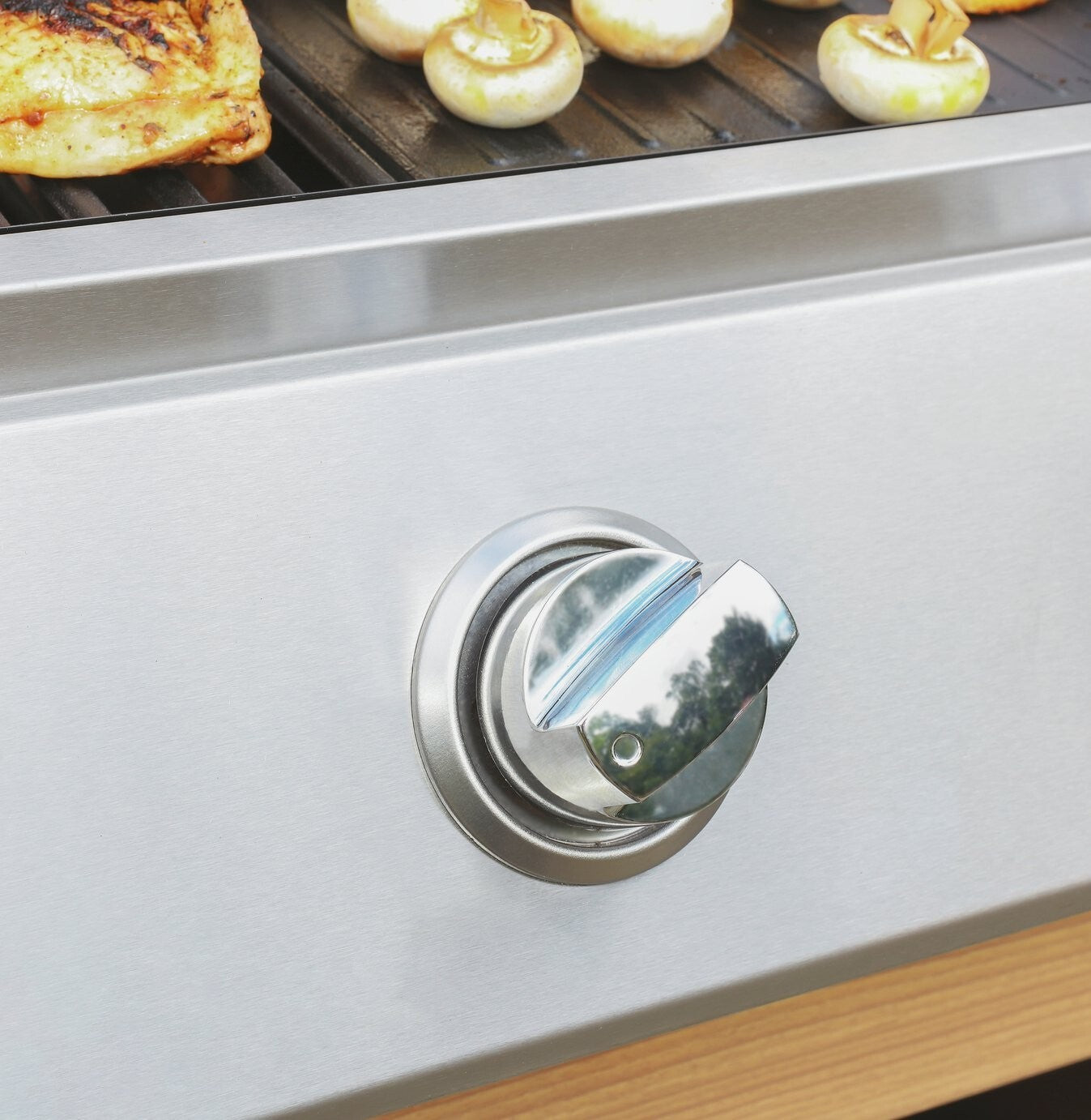 Deluxe 3 Burner with Side Burner Gas BBQ