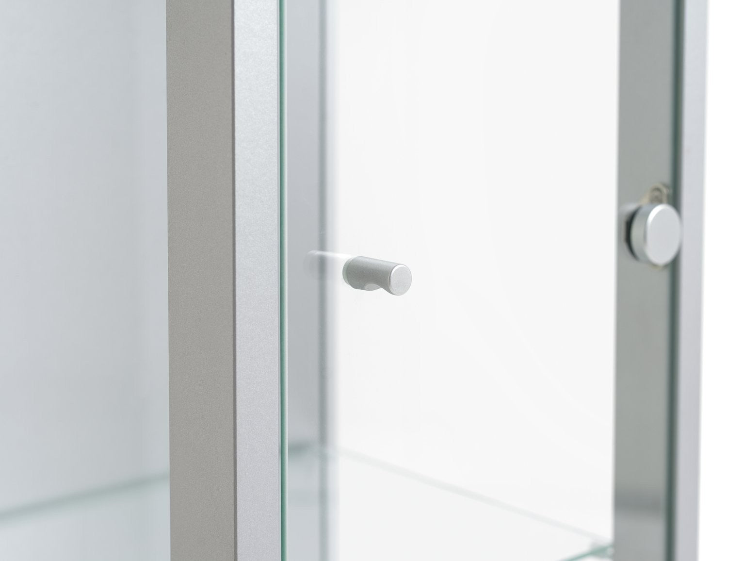 Home 1 Door Glass Display Cabinet - Silver | Modern Home Showcase