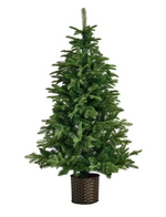 5ft Premium Potted Artificial Christmas Tree | Realistic Faux Christmas Tree