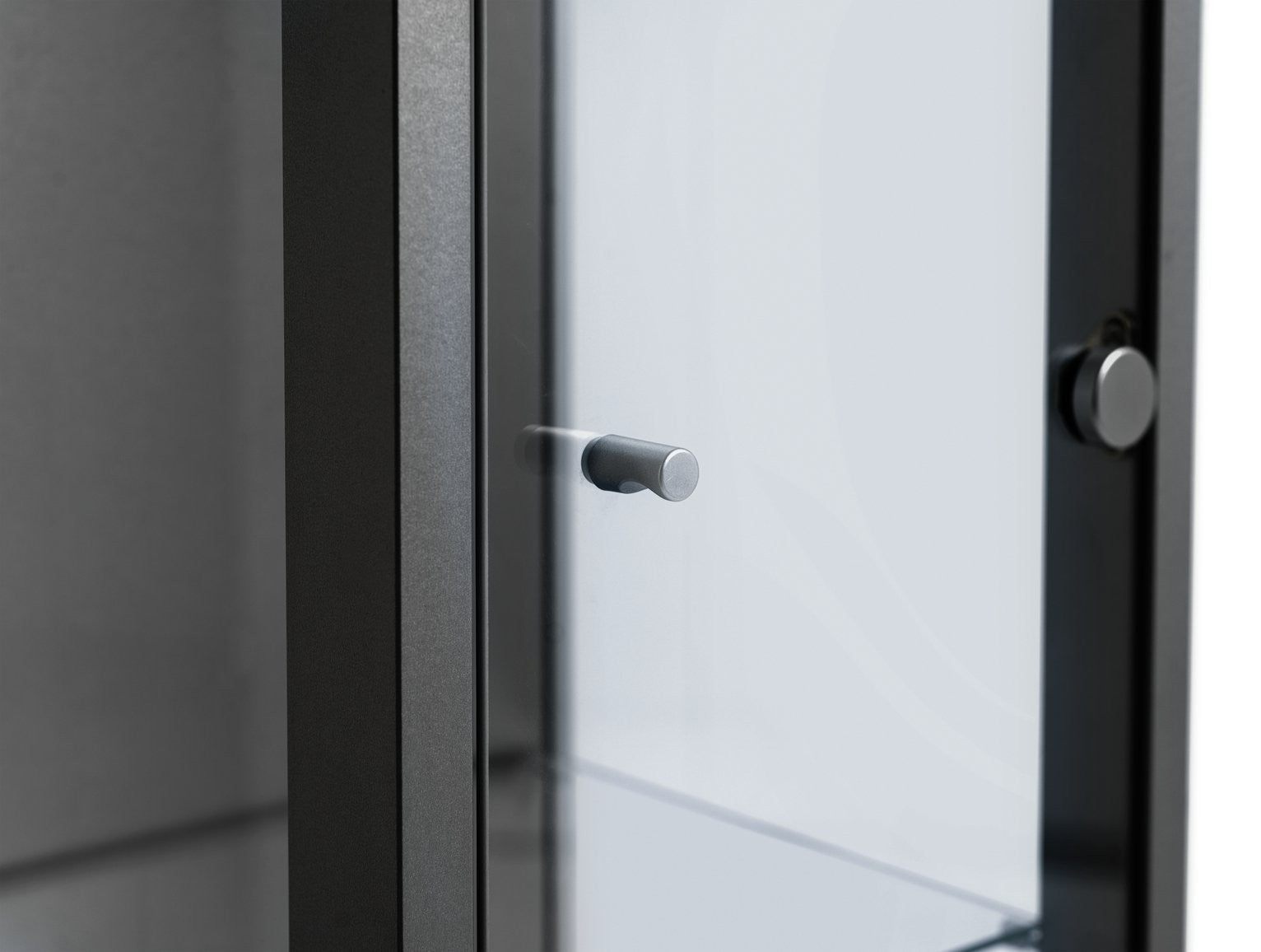 Home 4 Shelf 1 Door Display Cabinet - Black | Minimalist Interior Look