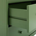 Bronte 3 Drawer Chest - Green | Bold color storage unit