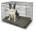 Double Door Dog Crate- Large | Pet Cage Kennel for Home Large Breed Dogs
