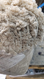 Habitat Cosy Recycled Shaggy Rug - 200x290cm - Natural ( B Grade 29874 )