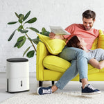 Meaco Arete One 12L Dehumidifier & Air Purifier