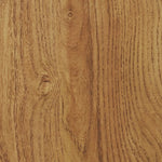 Nomad 2 Door Vinyl Cabinet - Oak | Record Collection Organizer