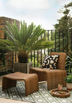 Habitat Kelham Rattan Effect Garden Chair - Brown
