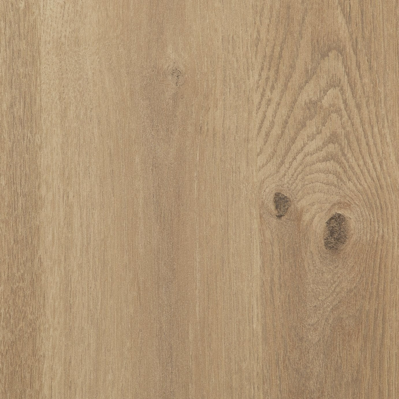 Atlas 2 Door Wardrobe - Oak | Contemporary Interior Style