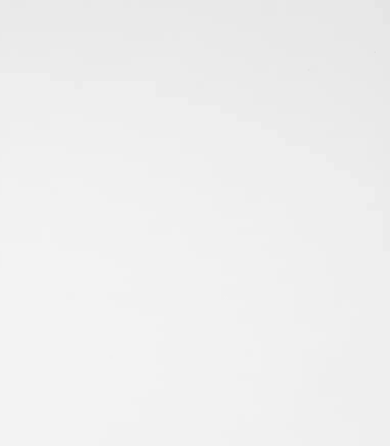 Camden 1 Door Shelved Wardrobe - White and Acacia | Neutral Interior Appeal