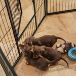 Lords & Labradors Puppy Play Pen Black - 80cm | Secure Containment Space