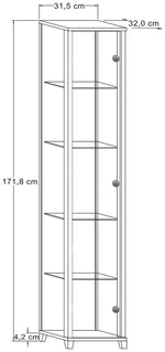 Home 1 Door Glass Display Cabinet - Silver | Modern Home Showcase