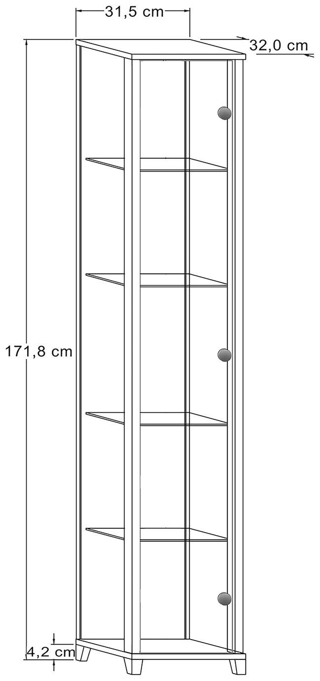 Home 1 Door Glass Display Cabinet - Silver | Modern Home Showcase