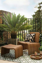 Kelham Rattan Effect Garden Chair - Brown (B Grade)