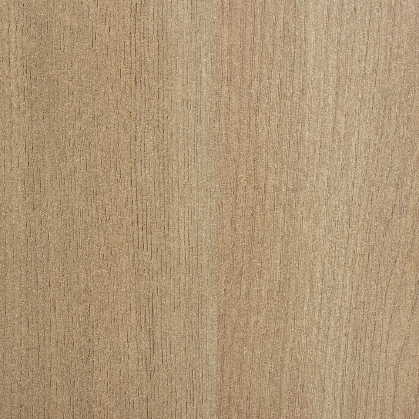 Brisbane 2 Door Shoe Storage Cabinet - Oak