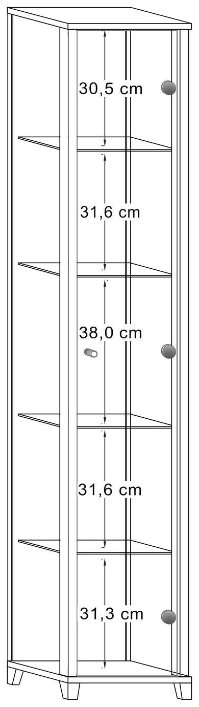 Home 4 Shelf 1 Door Display Cabinet - Black | Minimalist Interior Look