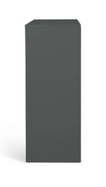 Chloe 2 Door Shoe Storage Cabinet - Grey ( B Grade )