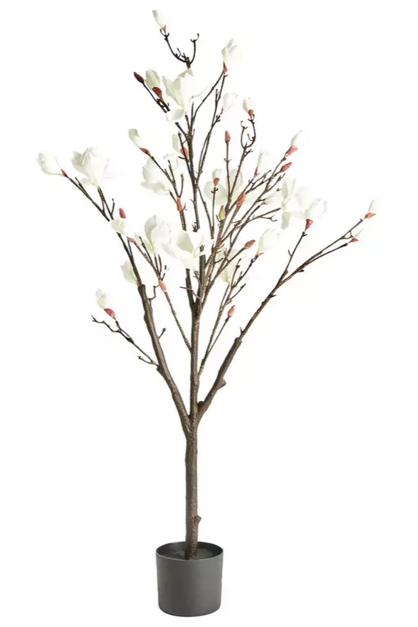 Image alt
